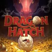 Dragon-Hatch